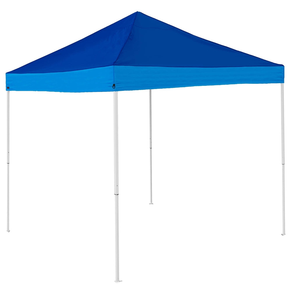 Plain Royal/Panther Blue Economy Canopy - Logo Brands - Flyclothing LLC