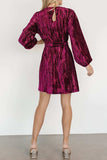 Velvet Round Neck Tie Waist Long Sleeve Mini Dress - Trendsi - Flyclothing LLC