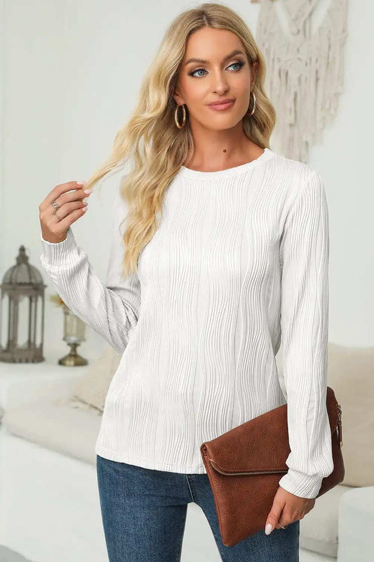 Textured Round Neck Long Sleeve Blouse - Trendsi - Flyclothing LLC