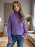 Turtleneck Long Sleeve Sweater - Trendsi - Flyclothing LLC