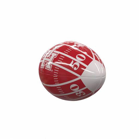 Houston Field Mini-Size Glossy Football - Logo Brands - Flyclothing LLC