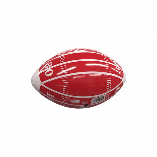 Houston Field Mini-Size Glossy Football - Logo Brands - Flyclothing LLC