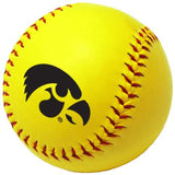 Iowa Softball - Logo Brands - Flyclothing LLC