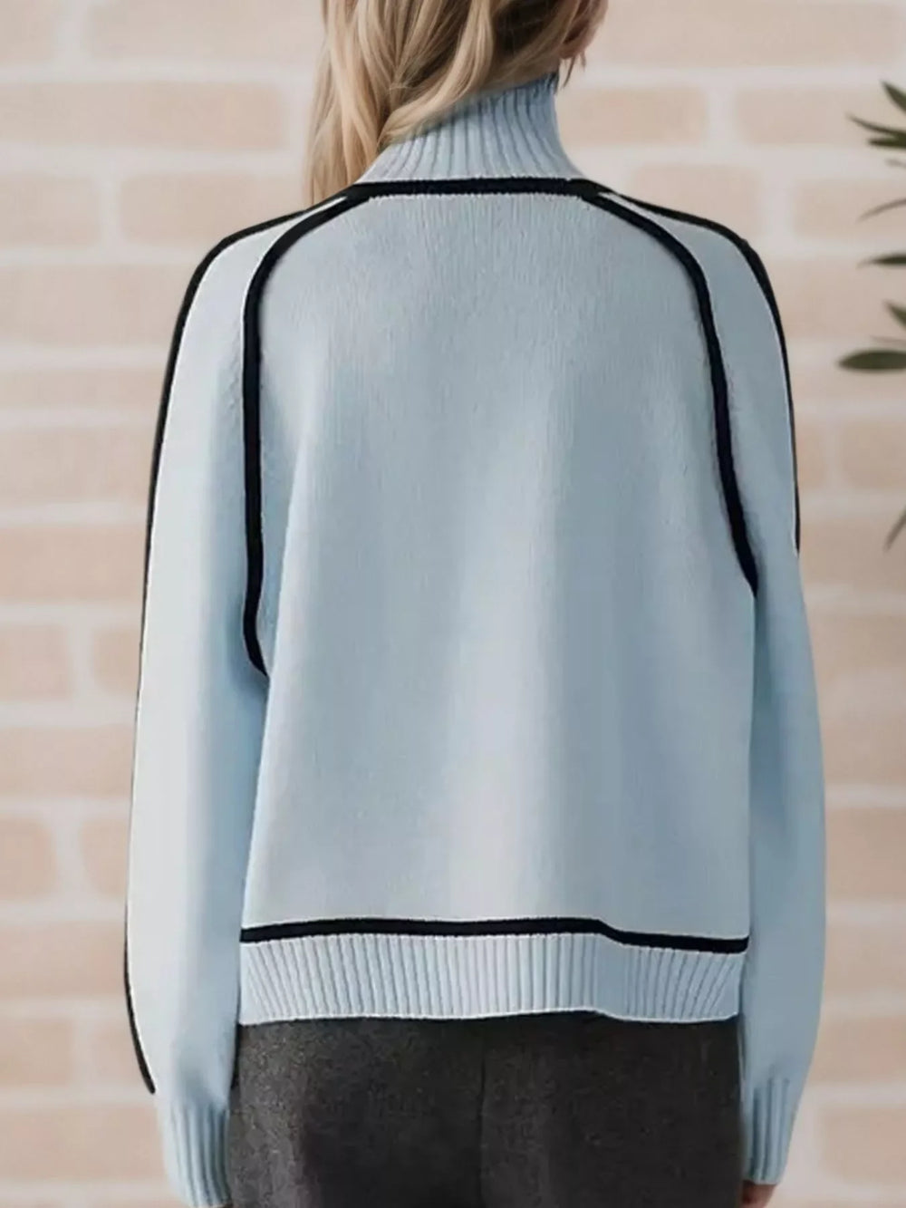 Contrast Trim Turtleneck Sweater - Trendsi - Flyclothing LLC