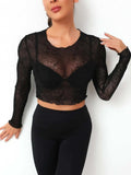 Round Neck Long Sleeve Sheer Top - Trendsi - Flyclothing LLC