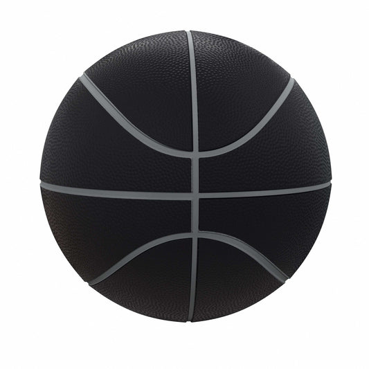 Michigan Blackout Full-Size Composite Basketball - Logo Brands - Flyclothing LLC