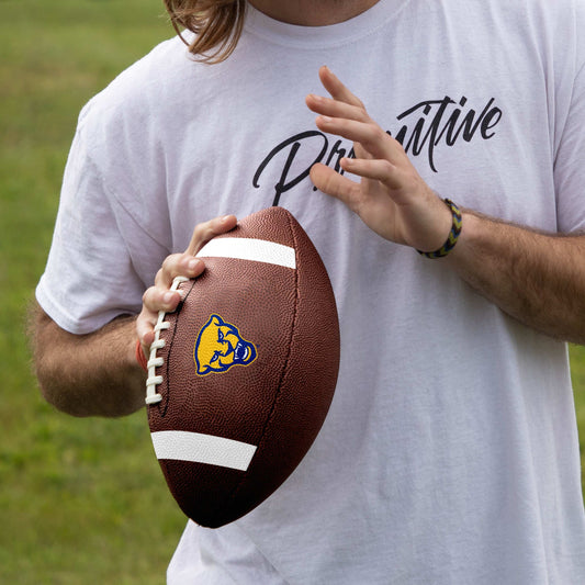 Pittsburgh Team Stripe Official-Size Composite Football - Logo Brands - Flyclothing LLC
