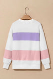 Color Block Round Neck Long Sleeve Sweatshirt - Trendsi - Flyclothing LLC