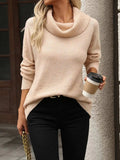 Turtleneck Long Sleeve Sweater - Trendsi - Flyclothing LLC