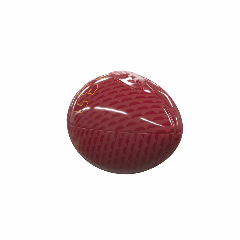 USC Carbon Fiber Mini Size Glossy Football - Logo Brands - Flyclothing LLC