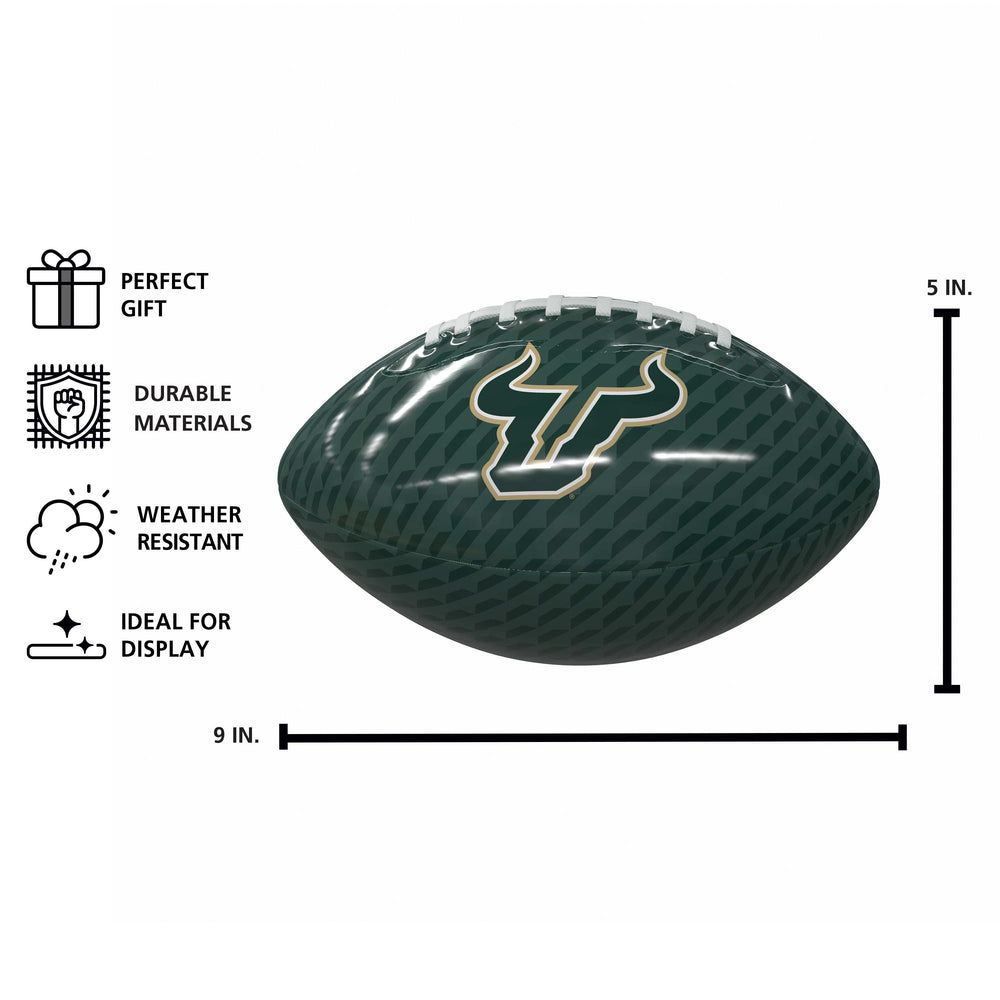 South Florida Carbon Fiber Mini Size Glossy Football - Logo Brands - Flyclothing LLC
