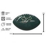 South Florida Carbon Fiber Mini Size Glossy Football - Logo Brands - Flyclothing LLC