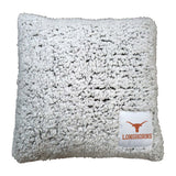 Texas Campus Colors Frosty Throw Pillow - Logo Brands - Flyclothing LLC