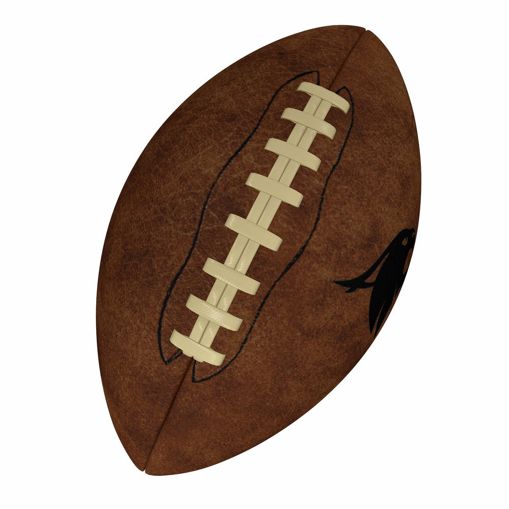 TX State Official-Size Vintage Football - Logo Brands - Flyclothing LLC