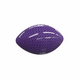 Northern Iowa Carbon Fiber Mini Size Glossy Football - Logo Brands - Flyclothing LLC