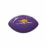 Northern Iowa Carbon Fiber Mini Size Glossy Football - Logo Brands - Flyclothing LLC