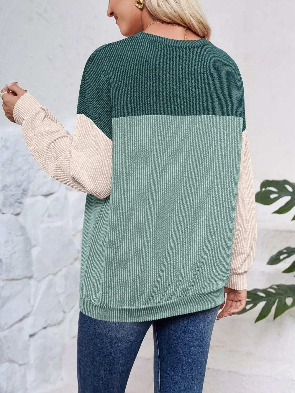 Color Block Round Neck Long Sleeve Sweatshirt - Trendsi - Flyclothing LLC
