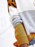 Leopard Color Block Round Neck Long Sleeve Sweater - Trendsi - Flyclothing LLC