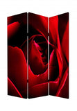 48 X 72 Multi Color Wood Canvas Rose Screen - Homeroots - Flyclothing LLC