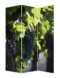 48" X 72" Multi Color Wood Canvas Wine Country Screen - Homeroots
