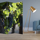 48" X 72" Multi Color Wood Canvas Wine Country Screen - Homeroots