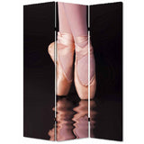 48" X 72" Multi Color Wood Canvas Ballet Screen - Homeroots