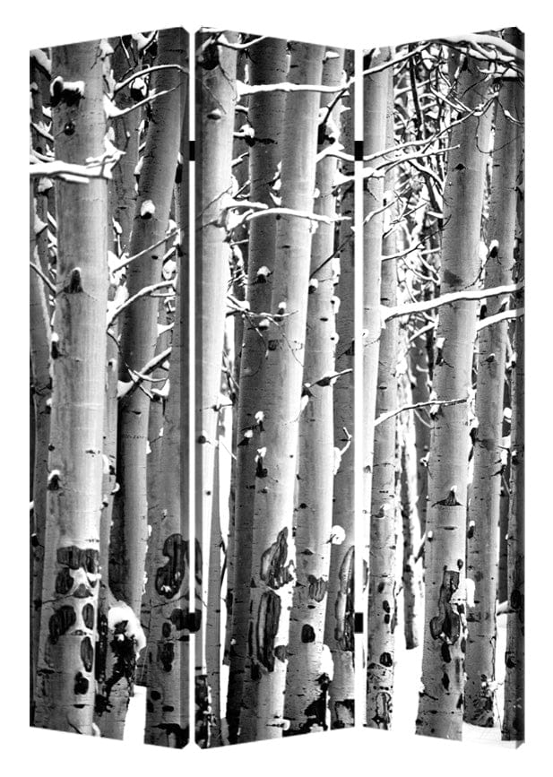 48" X 72" Gray And White Wood Canvas Birch Screen - Homeroots