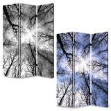 48" X 72" Multi Color Wood Canvas Forest Screen - Homeroots