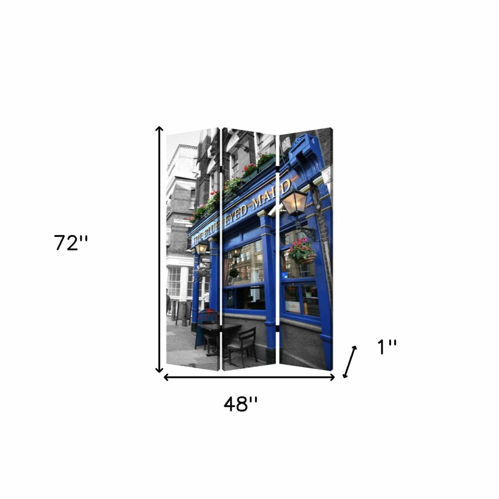 48" X 72" Multi Color Wood Canvas The Blue Eyed Screen - Homeroots
