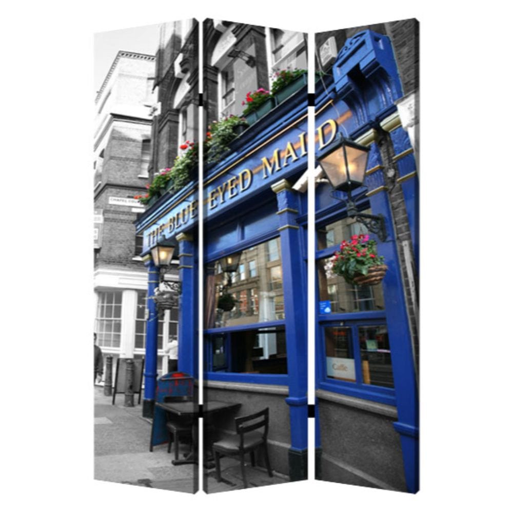 48" X 72" Multi Color Wood Canvas The Blue Eyed Screen - Homeroots