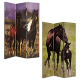 48" X 72" Multi Color Canvas Screen With Nurturing Mare - Homeroots