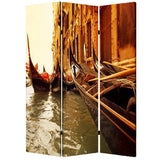 48" X 72" Multi Color Wood Canvas Venice Screen - Homeroots