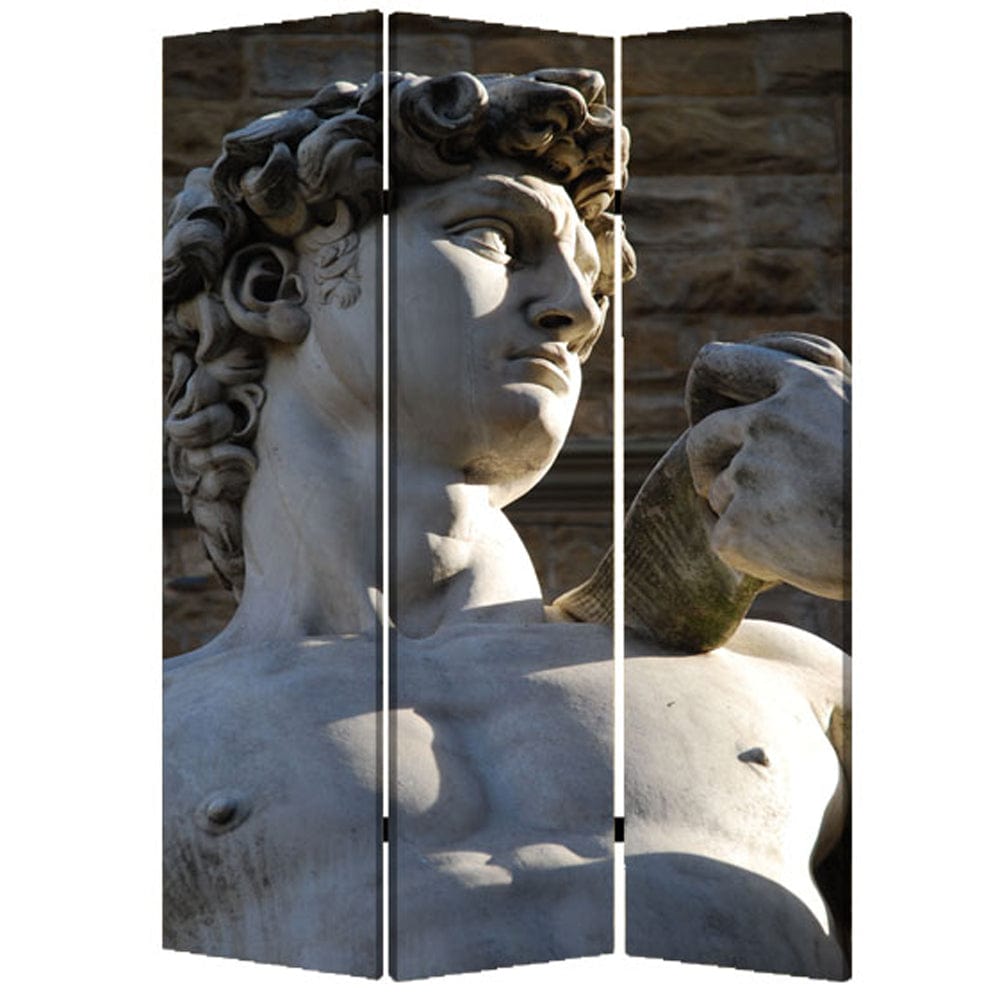 48" X 72" Multi Color Wood Canvas Rome Screen - Homeroots
