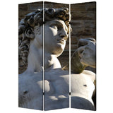 48" X 72" Multi Color Wood Canvas Rome Screen - Homeroots