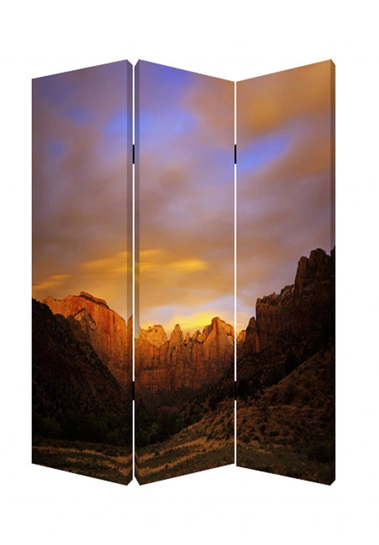 48 X 72 Multi Color Wood Canvas Desert Screen - Homeroots - Flyclothing LLC
