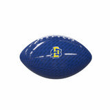 South Dakota State Carbon Fiber Mini Size Glossy Football - Logo Brands - Flyclothing LLC