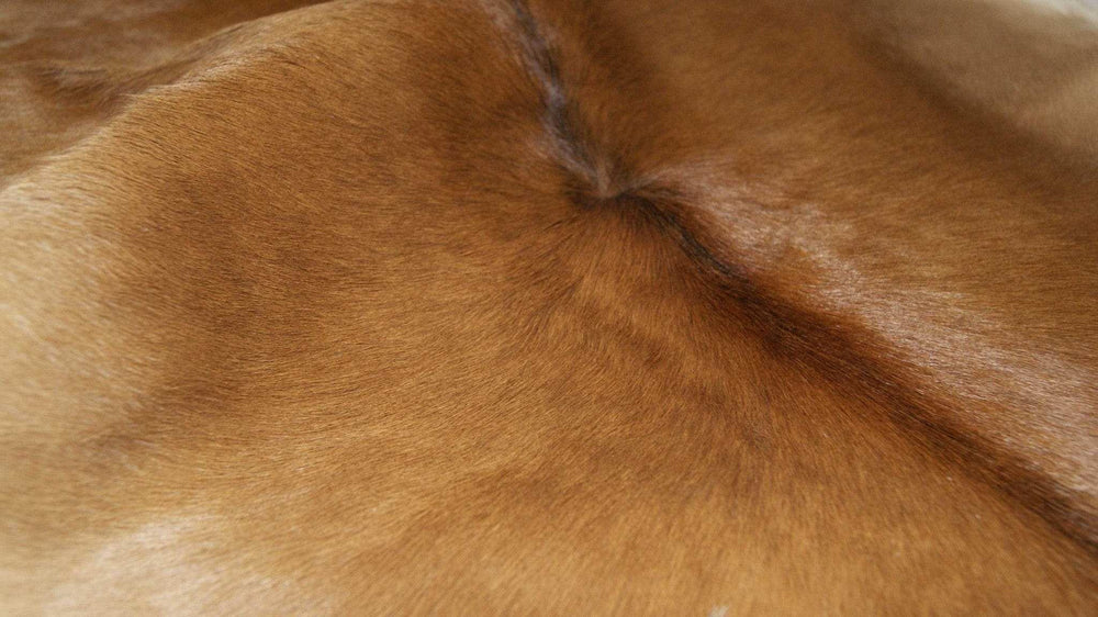 2' X 3' Tan Print Cowhide Area Rug - Homeroots - Flyclothing LLC