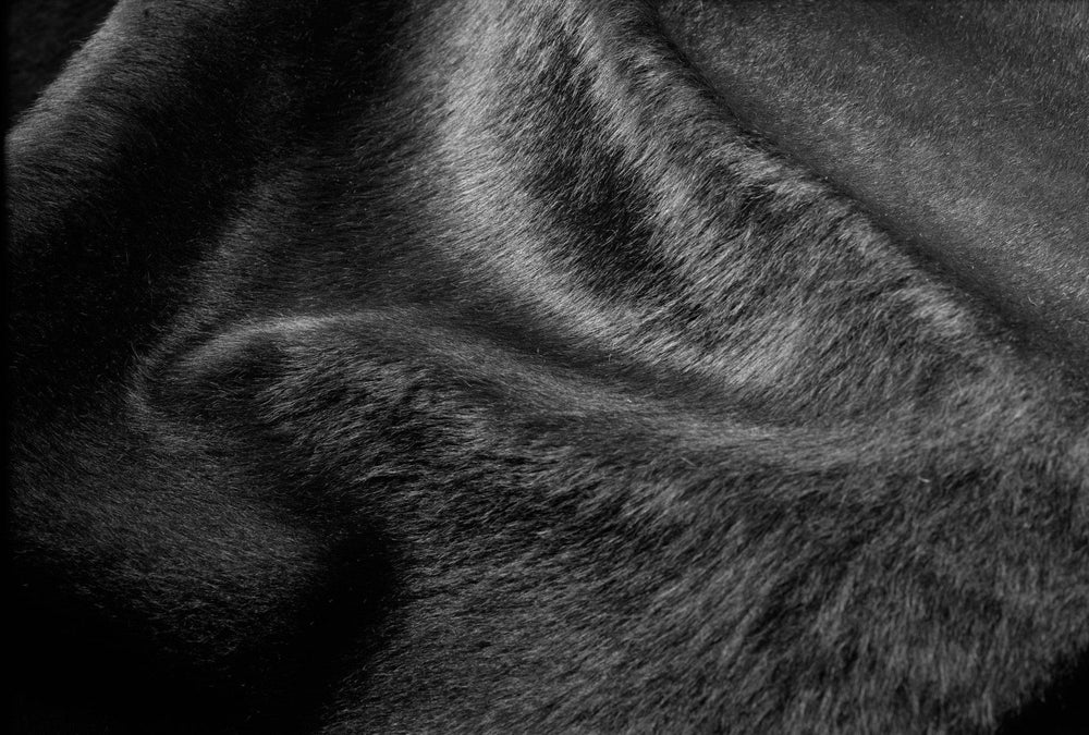 72" X 84" Black Cowhide - Rug - Homeroots - Flyclothing LLC