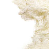 2' X 3' Natural New Zealand Sheepskin Wool Area Rug - Homeroots - Flyclothing LLC