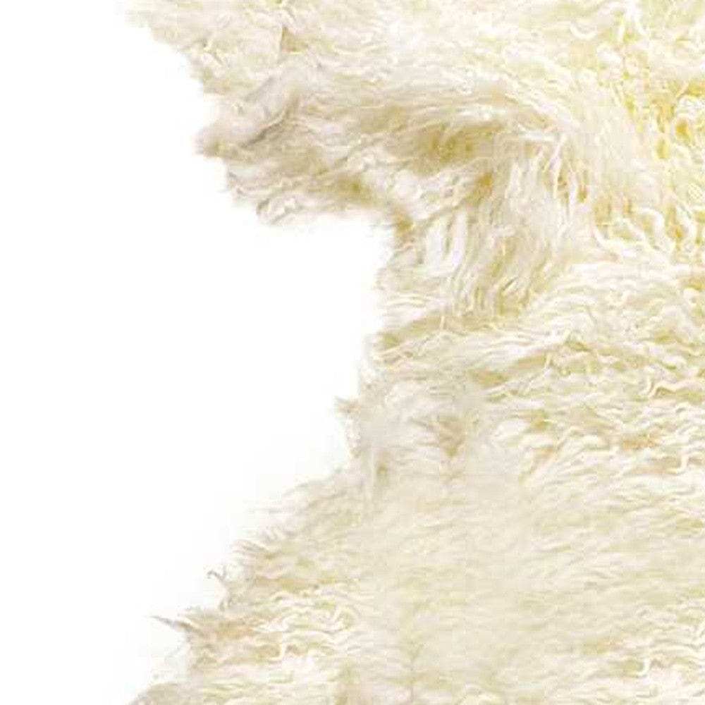 2' X 3' Natural New Zealand Sheepskin Wool Area Rug - Homeroots - Flyclothing LLC
