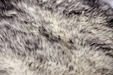 Gradient Grey Animal Print Area Rug - Homeroots - Flyclothing LLC