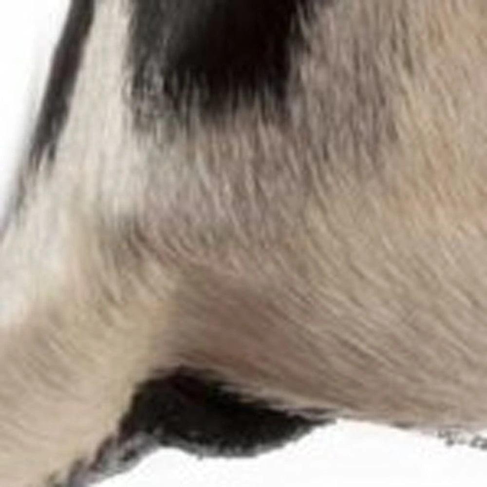 18" Black and White Cowhide Throw Pillow - Homeroots - Flyclothing LLC