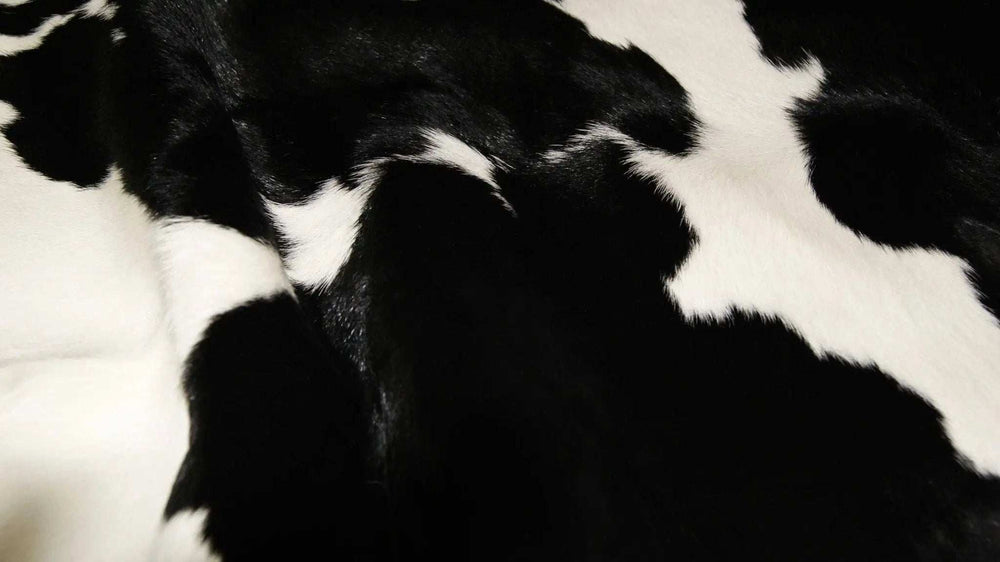 2' X 3' Black and White Cowhide Hand Woven Area Rug - Homeroots - Flyclothing LLC