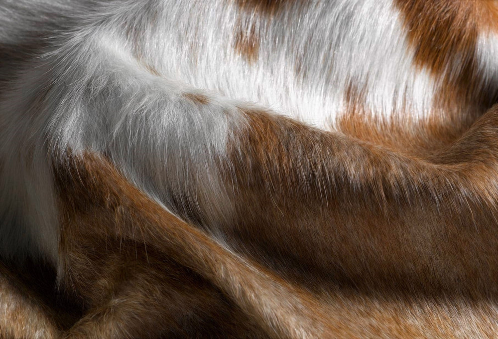 60" X 84" Brown And White Cowhide - Area Rug - Homeroots