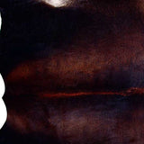 60" X 84" Normand Cowhide - Area Rug - Homeroots - Flyclothing LLC