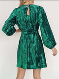Velvet Round Neck Tie Waist Long Sleeve Mini Dress - Trendsi - Flyclothing LLC