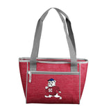South Carolina State 16 Can Cooler Tote - Logo Brands - Flyclothing LLC
