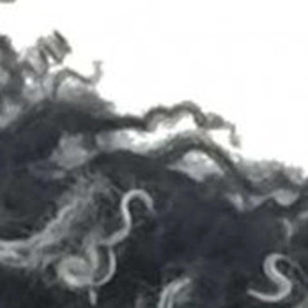 24" Black Genuine Tibetan Lamb Fur Pillow With Microsuede Backing - Homeroots - Flyclothing LLC