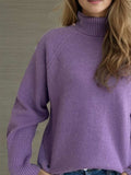 Turtleneck Raglan Sleeve Sweater - Trendsi - Flyclothing LLC
