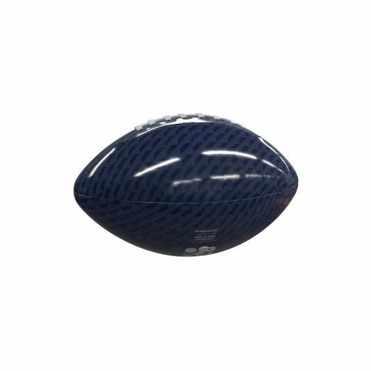 Northern Arizona Carbon Fiber Mini Size Glossy Football - Logo Brands - Flyclothing LLC